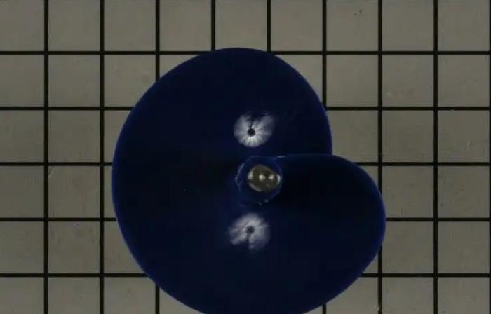 New Genuine OEM GE Refrigerator Ice Bucket Auger WR29X43990