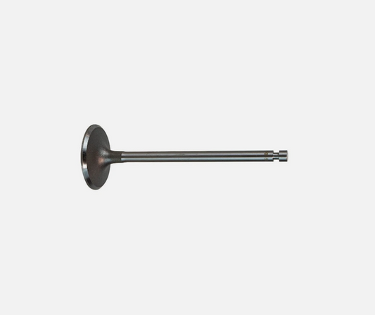 Kohler 19 017 01-S Intake Valve