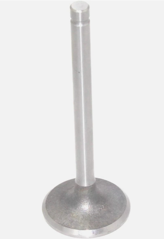 Kohler 24 017 01-S Intake Valve