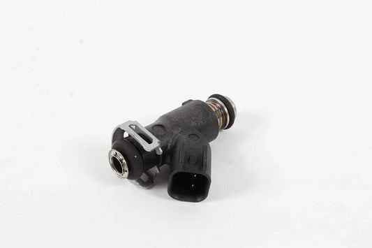 Kohler 25 331 01-S Fuel Injection Genuine